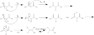 マロン酸エステル合成の反応機構