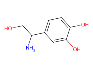 Norepinephrine