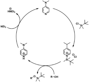 Mechanism of the DMAP-Catalyzed Silylation of Alcohols