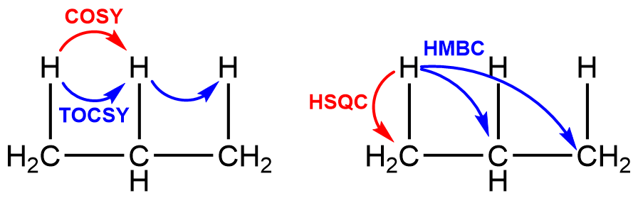 COSY・TOCSY・HSQC・HMBCが相関させる水素と炭素の関係を示した図