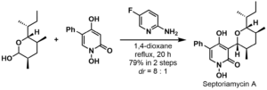 Total synthesis of Septoriamycin A with Knoevenagel Condensation