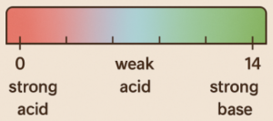 Comparison of acid strength by pKa