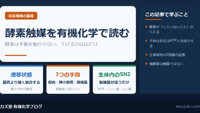酵素触媒を有機化学で読む｜生体内の求核置換と遷移状態の安定化【院試対策】