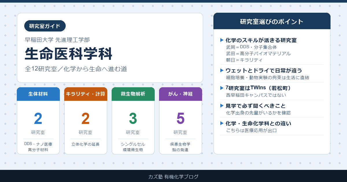 早稲田大学 生命医科学科の研究室ガイド【B3のための研究室の選び方】