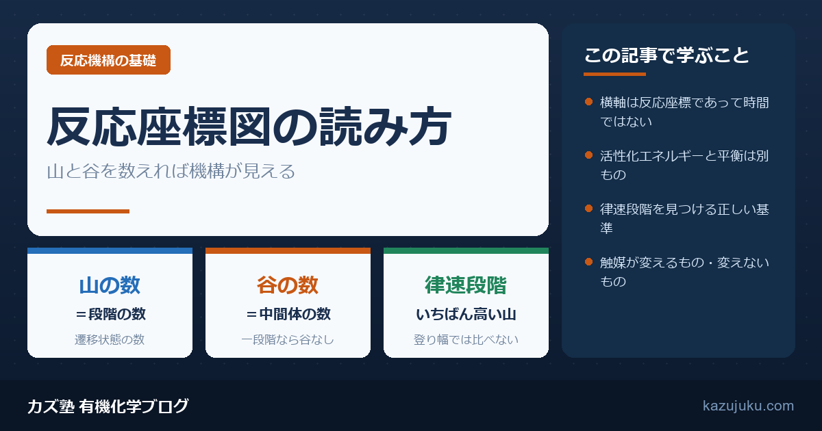 反応座標図の読み方｜活性化エネルギーと律速段階の見つけ方【院試対策】