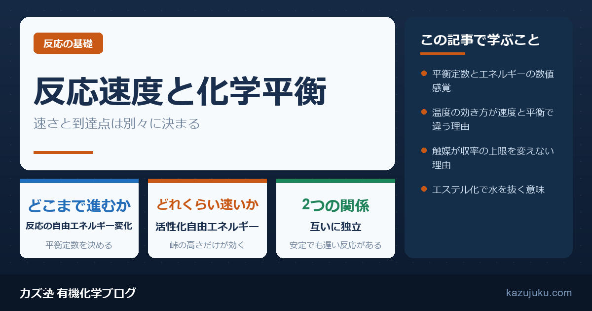 反応速度と化学平衡の違い｜速さと到達点は別々に決まる【院試対策】