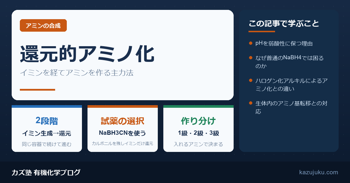 還元的アミノ化とは？イミン経由のアミン合成を解説【院試対策】