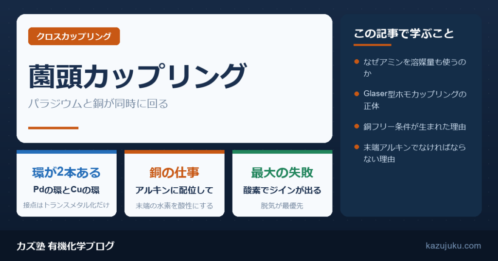 薗頭カップリングとは｜PdとCuが同時に回る二重触媒【院試対策】