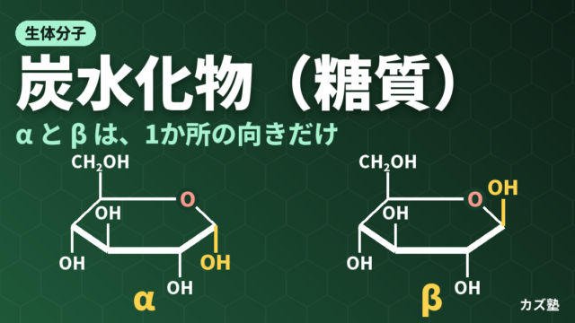 「炭水化物（糖質）」完全解説｜Fischer投影式・環状構造・アノマー・反応・二糖・多糖を徹底整理