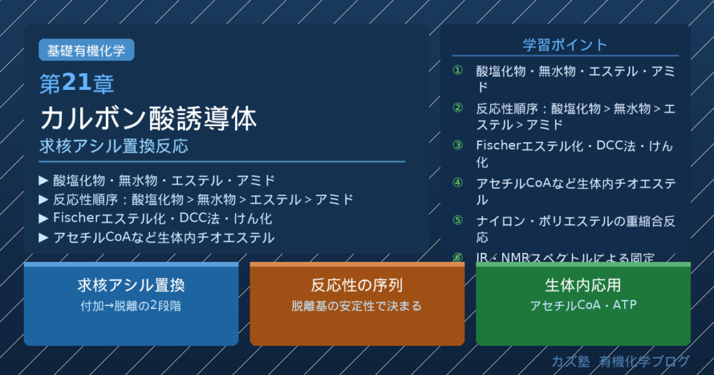 「カルボン酸誘導体」完全解説｜求核アシル置換反応・酸塩化物・エステル・アミド・チオエステルを徹底整理