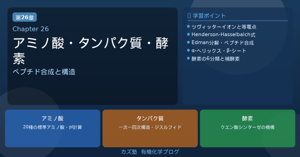 「アミノ酸・ペプチド・タンパク質」完全解説｜等電点・合成・Edman分解・固相合成・酵素を徹底整理