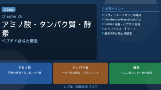 「アミノ酸・ペプチド・タンパク質」完全解説｜等電点・合成・Edman分解・固相合成・酵素を徹底整理