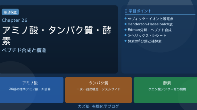 「アミノ酸・ペプチド・タンパク質」完全解説｜等電点・合成・Edman分解・固相合成・酵素を徹底整理