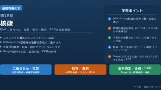 「核酸」完全解説|DNA二重らせん・複製・転写・翻訳・PCR・DNA合成を徹底整理