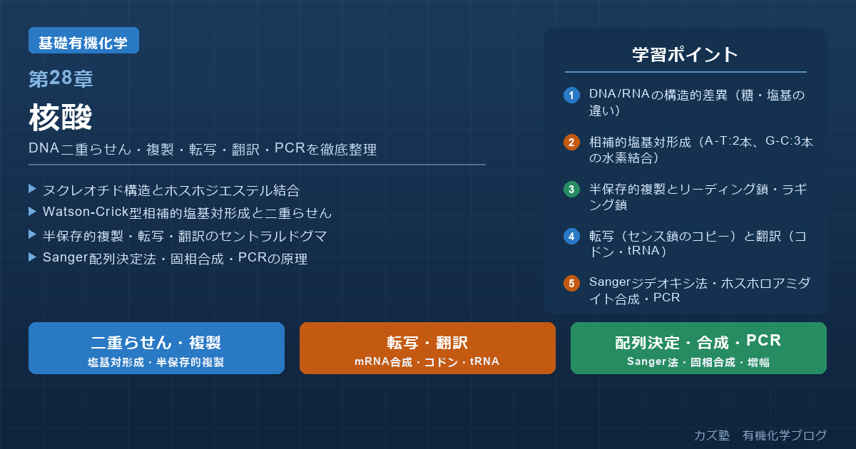 「核酸」完全解説｜DNA二重らせん・複製・転写・翻訳・PCR・DNA合成を徹底整理