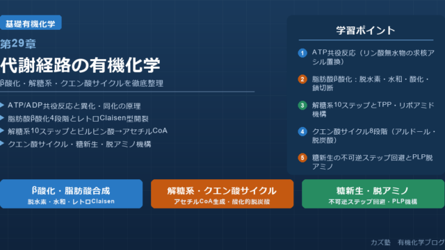 「代謝経路の有機化学」完全解説｜β酸化・解糖系・クエン酸サイクル・糖新生・脱アミノを徹底整理