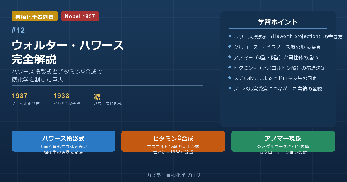 ウォルター・ハワース完全解説｜ハワース投影式とビタミンC合成