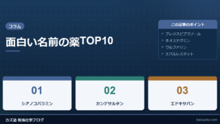 面白い名前の薬TOP10