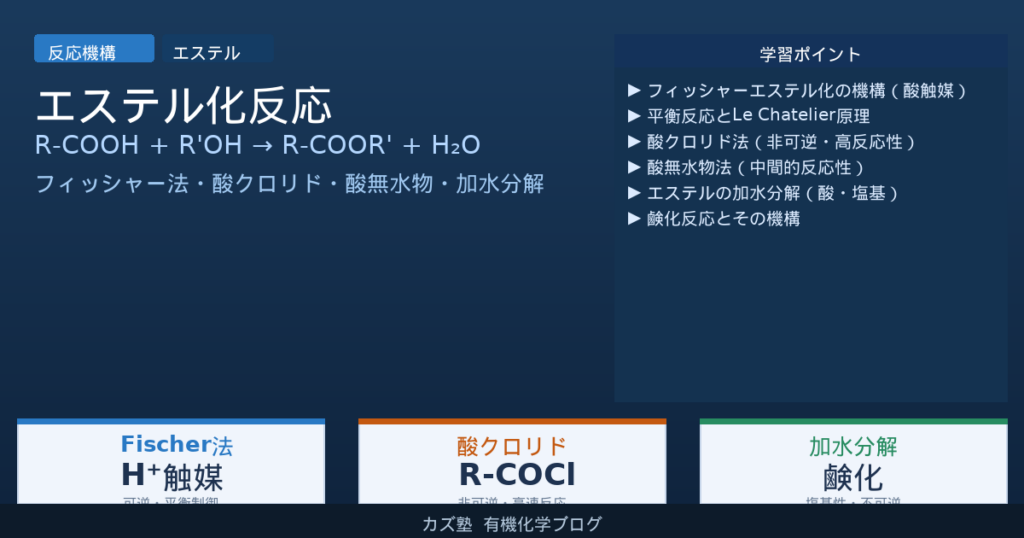 エステル化反応と加水分解を完全解説【フィッシャー機構・酸クロリド比較】