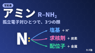 アミン官能基とは？塩基性の強さの順番とpKaH・各種合成法を徹底解説
