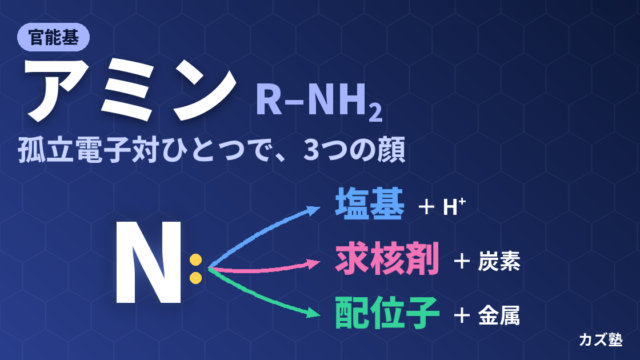 アミン官能基とは？塩基性の強さの順番とpKaH・各種合成法を徹底解説