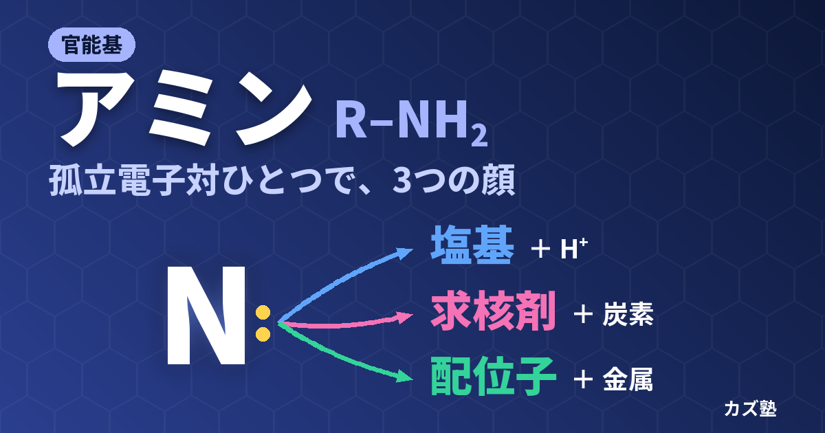 アミン官能基とは？塩基性の強さの順番とpKaH・各種合成法を徹底解説