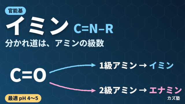 イミンとは？構造と生成の最適pH・エナミンとの違い・シッフ塩基を解説