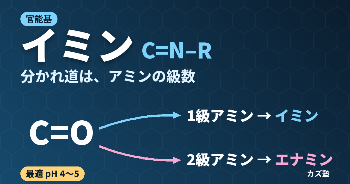 イミンとは？構造と生成の最適pH・エナミンとの違い・シッフ塩基を解説