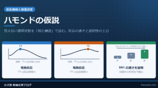 ハモンドの仮説