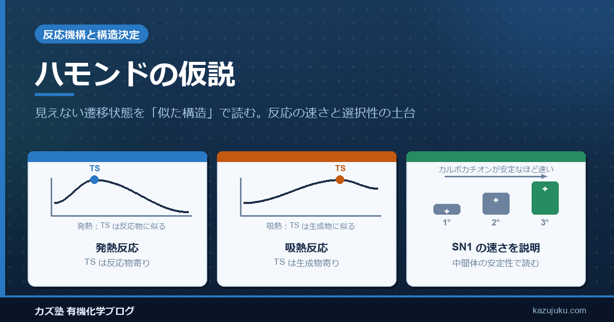 ハモンドの仮説