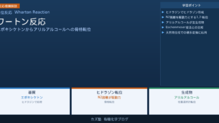 ワートン反応｜ヒドラゾン機構によるエポキシケトンの位置選択的転位
