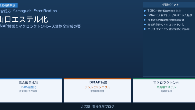 山口エステル化完全解説【混合酸無水物の位置選択性とDMAP触媒機構】