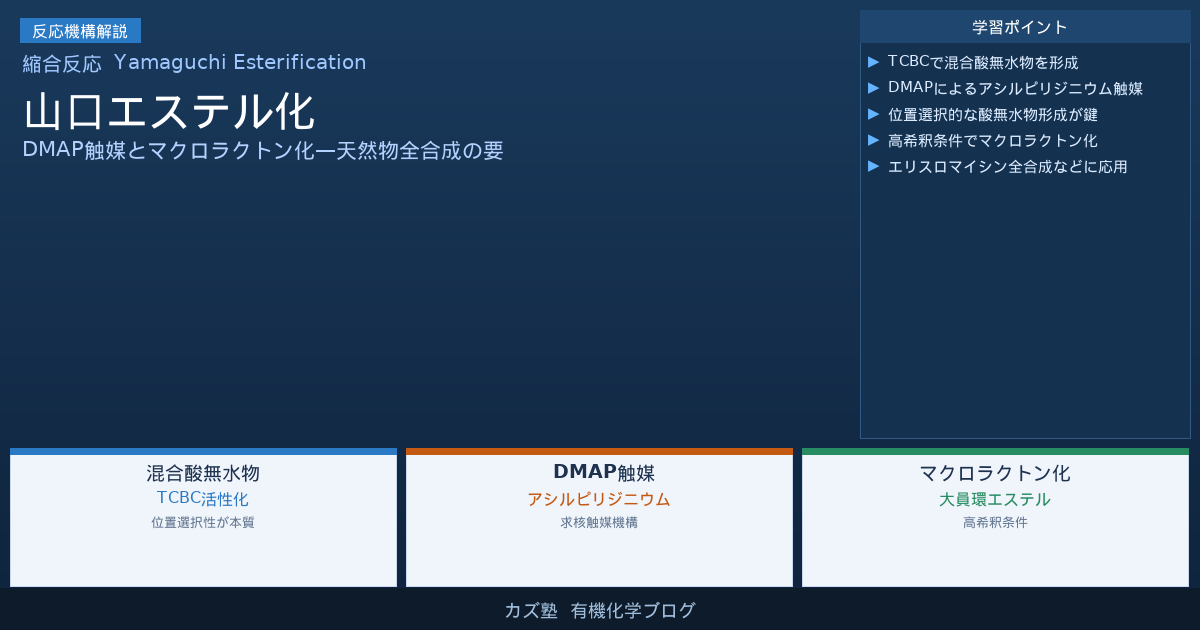 山口エステル化完全解説【混合酸無水物の位置選択性とDMAP触媒機構】